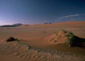 image of Namib