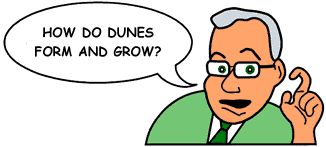 Question: 'How do dunes form and grow?'